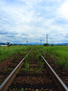 Rail way